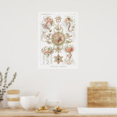 Vintage Darstellung des Meereslebens Poster (Küche)