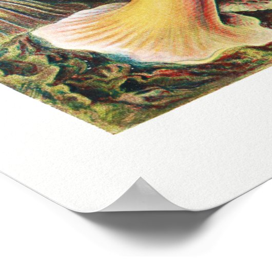 Vintage Darstellung des Meereslebens Poster (Ecke)