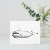 Vintage Darstellung des Whales von Bowhad Postkarte (Stehend Vorderseite)