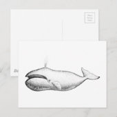 Vintage Darstellung des Whales von Bowhad Postkarte (Vorne/Hinten)