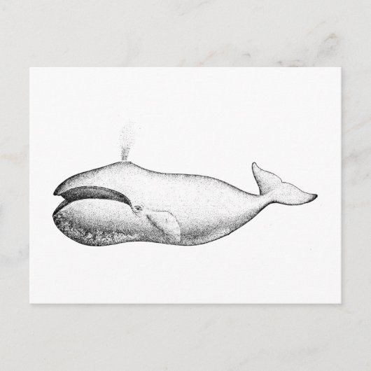 Vintage Darstellung des Whales von Bowhad Postkarte (Vorderseite)