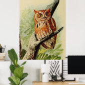 Vintage Darstellung einer Eule (1912) Poster (Heimbüro)