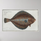 Vintage Darstellung einer Hochwasserfische (1785) Poster (Vorne)