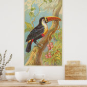 Vintage Darstellung eines Toucan (1889) Poster (Küche)