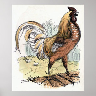 Vintage Darstellung "Rooster" Poster