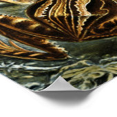 Vintage Darstellung von Fröschen Poster (Ecke)