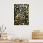 Vintage Darstellung von Fröschen Poster (Küche)