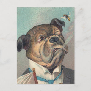 Vintage Darstellung von Hunden und Wespen Postkarte