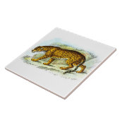 Vintage Darstellung von Jaguar Fliese (Seite)