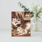 Vintage Darstellung von Kaninchen Postkarte (Stehend Vorderseite)