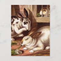 Vintage Darstellung von Kaninchen