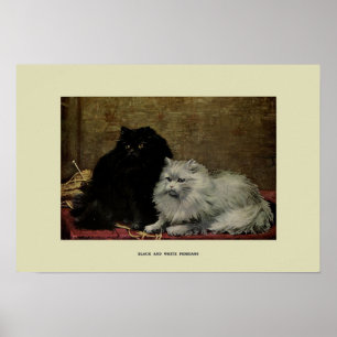 Vintage Darstellung von Katzen Poster