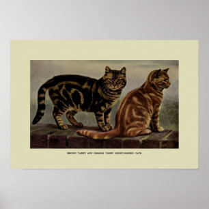 Vintage Darstellung von Katzen Poster