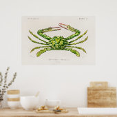 Vintage Darstellung von Schalentieren Poster (Küche)