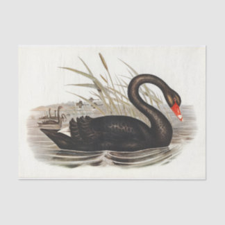 Vintage Dekoupage von Black Swan Seidenpapier
