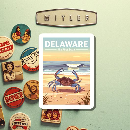 Vintage Delaware Magnet