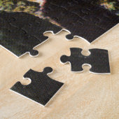 Vintage Delaware Park Buffalo Ny Large Puzzle (Seite)