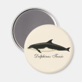 Vintage Delphine Delphinus Tursio, Meeressäugetier Magnet (Vorderseite/Rückseite)