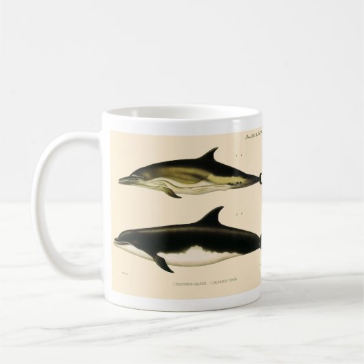 Vintage Delphine, Meerestiere und Säugetiere Kaffeetasse (Links)