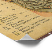 Vintage deutsche Anatomie drucken interne Organe Poster (Ecke)