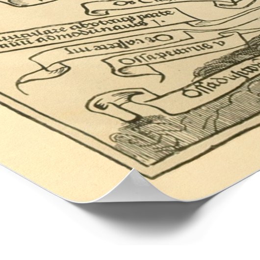 Vintage deutsche Anatomie - Knochenstapel Poster (Ecke)