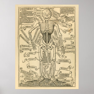 Vintage deutsche Anatomie - Knochenstapel Poster