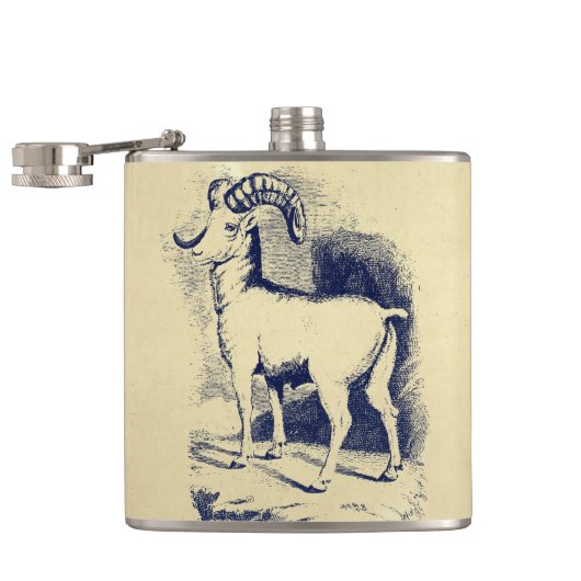 VINTAGE DICHHORN SCHAF FLACHMANN (Geöffnet)