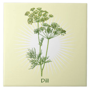 Vintage-Dill-Kräuter-Botanik-Keramikfliese Fliese