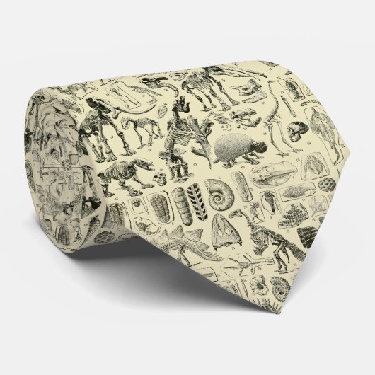 Vintage Dinosaur Bone Fossils Art Krawatte (Gerollt)