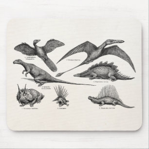 Vintage-Dinosaur-Illustration Retro-Dinosaurier Mousepad
