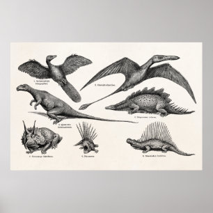 Vintage-Dinosaur-Illustration Retro-Dinosaurier Poster