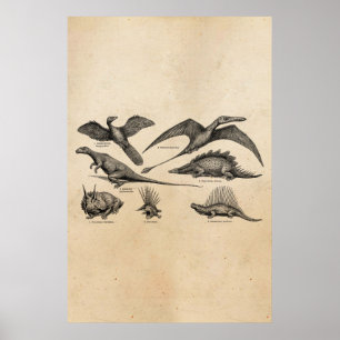 Vintage-Dinosaur-Illustration Retro-Dinosaurier Poster