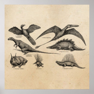Vintage-Dinosaur-Illustration Retro-Dinosaurier Poster