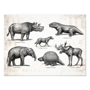 Vintage-Dinosaurier-Alte-Illustration-Retro-Dinosa Fotodruck