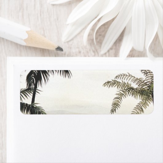 Vintage Dinosaurier, Amargasaurus mit Palmen (Insitu)