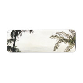 Vintage Dinosaurier, Amargasaurus mit Palmen