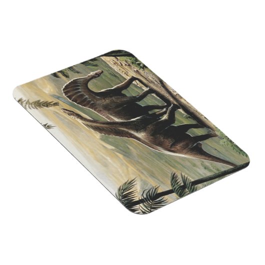 Vintage Dinosaurier, Amargasaurus mit Palmen Magnet (Rechte Seite)