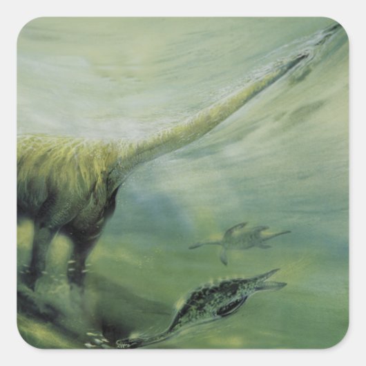Vintage Dinosaurier, Brachiosaurus Schwimmen im Oz Quadratischer Aufkleber (Vorderseite)