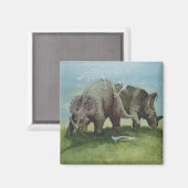 Vintage Dinosaurier, Centrosaurus Weideland auf We Magnet (Vorderseite/Rückseite)