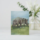 Vintage Dinosaurier, Centrosaurus Weideland auf We Postkarte (Stehend Vorderseite)