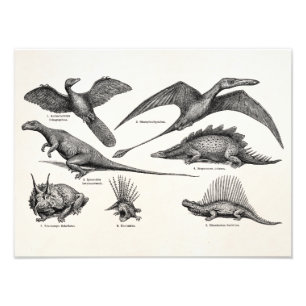 Vintage Dinosaurier-Illustrations-Retro Fotodruck