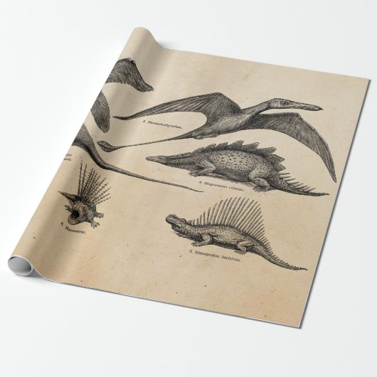 Vintage Dinosaurier-Illustrations-Retro Geschenkpapier (Ungerollt)