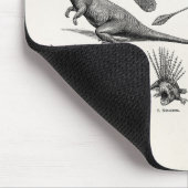 Vintage Dinosaurier-Illustrations-Retro Mousepad (Ecke)