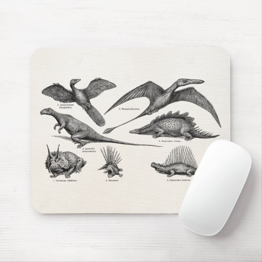 Vintage Dinosaurier-Illustrations-Retro Mousepad (Mit Mouse)