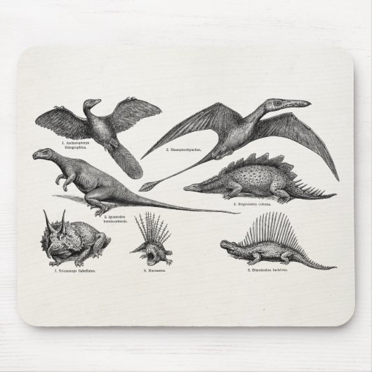 Vintage Dinosaurier-Illustrations-Retro Mousepad (Vorne)