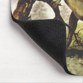 Vintage Dinosaurier, Plateosaurus Weiden auf Bäume Mousepad (Ecke)