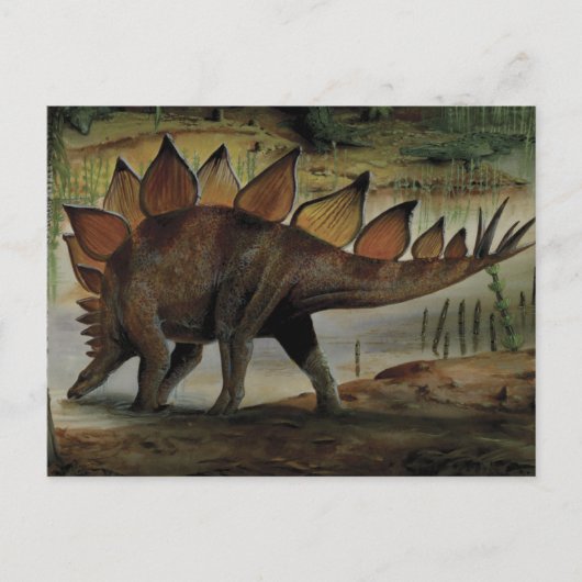 Vintage Dinosaurier, Stegosaurus, Schwanz mit Spik Postkarte (Vorderseite)