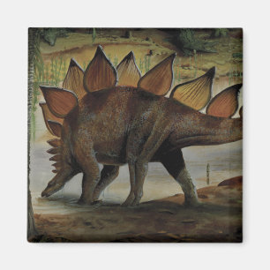 Vintage-Dinosaurier, Stegosaurus, Schwanz mit Stac Magnet