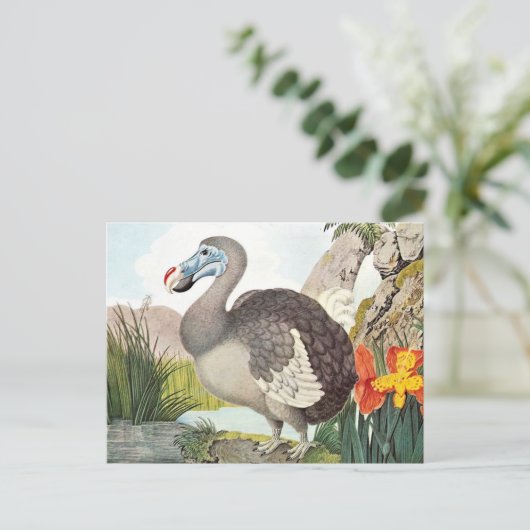 Vintage Dodo Bird Art Postkarte (Stehend Vorderseite)