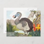 Vintage Dodo Bird Art Postkarte (Vorne/Hinten)